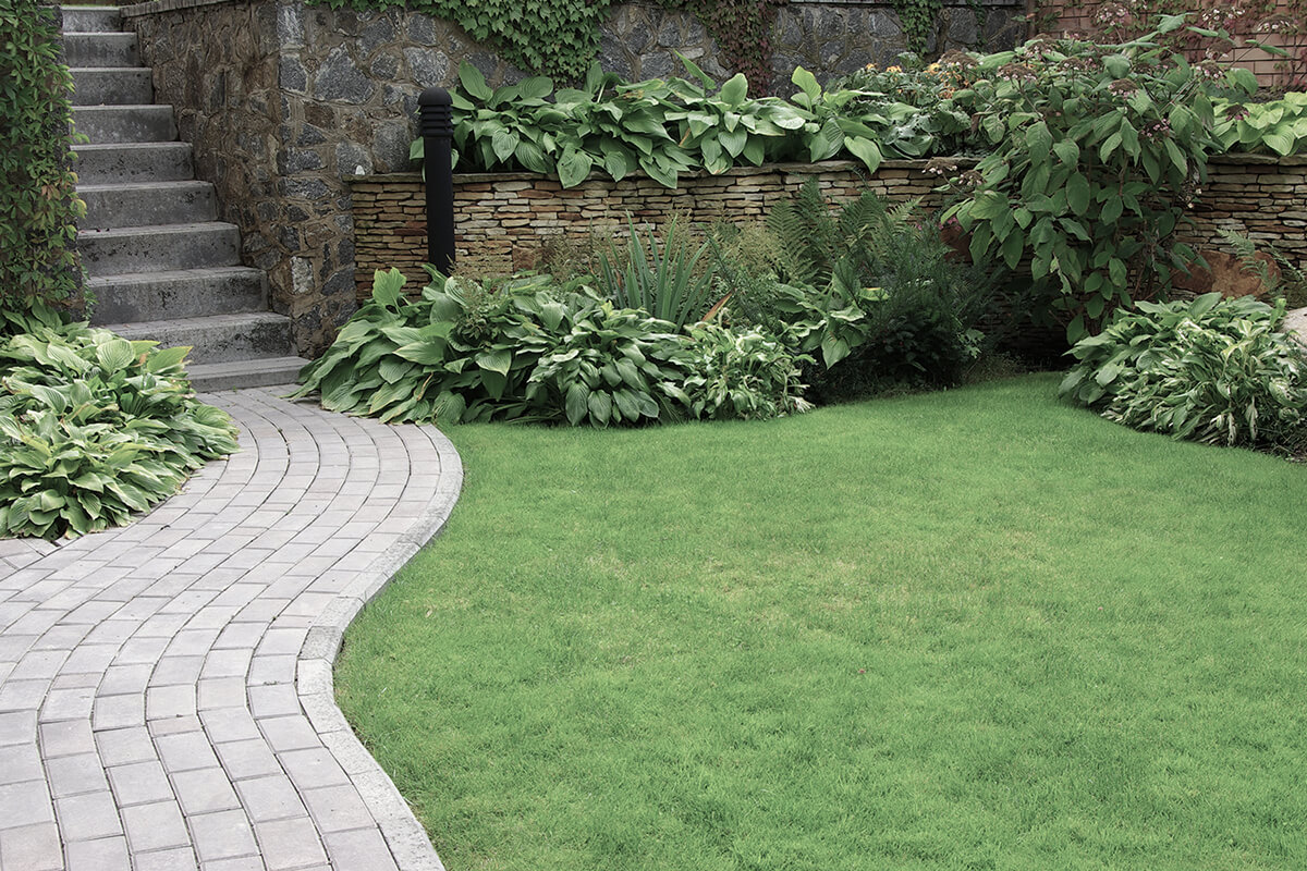 Welcome to Mr Brown Landscaping